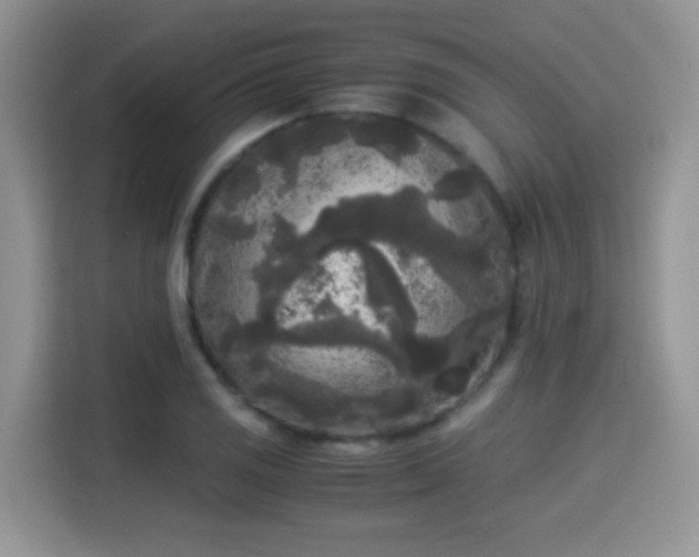 X0000115301125200911091007