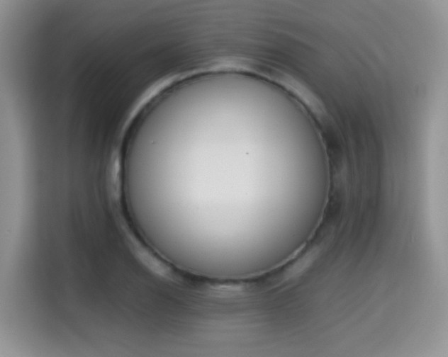 X0000115301126200911091007