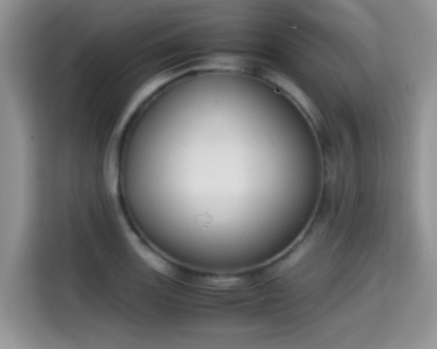 X0000115301131200911091007