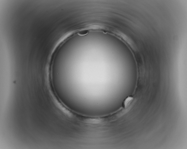 X0000115301134200911091007