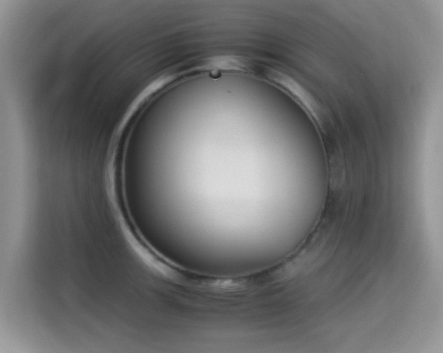 X0000115301139200911091007