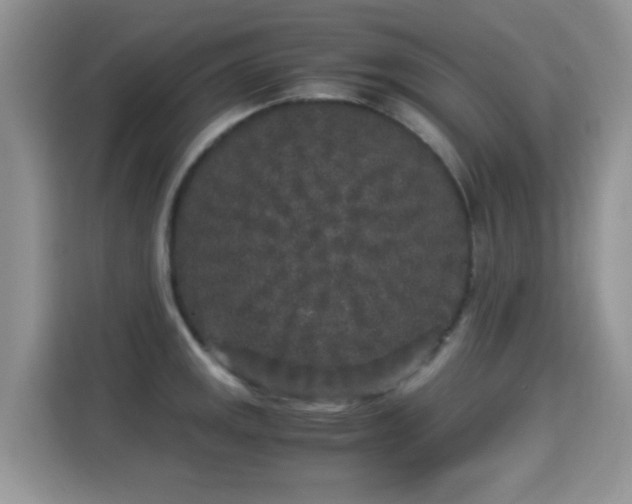 X0000115301141200911091007