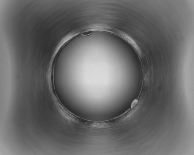 X0000115301146200911091007