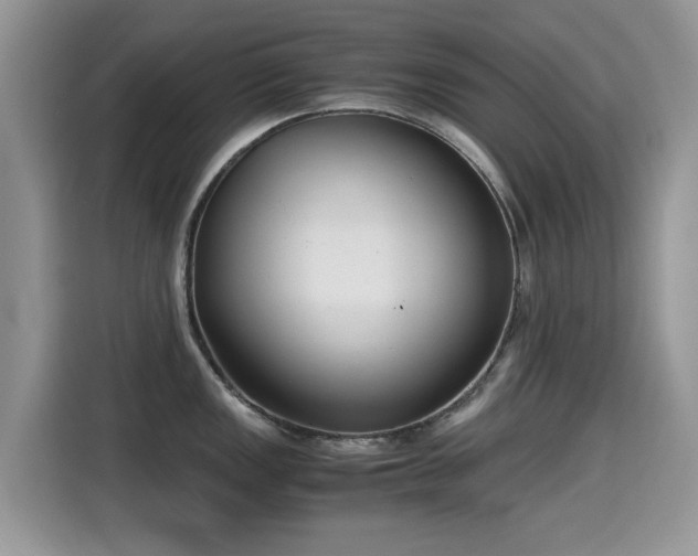 X0000115301149200911091007