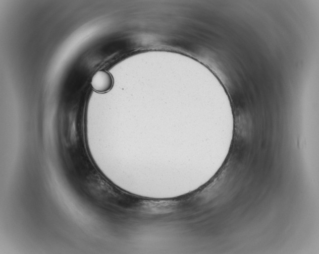 X0000115301150200911091007