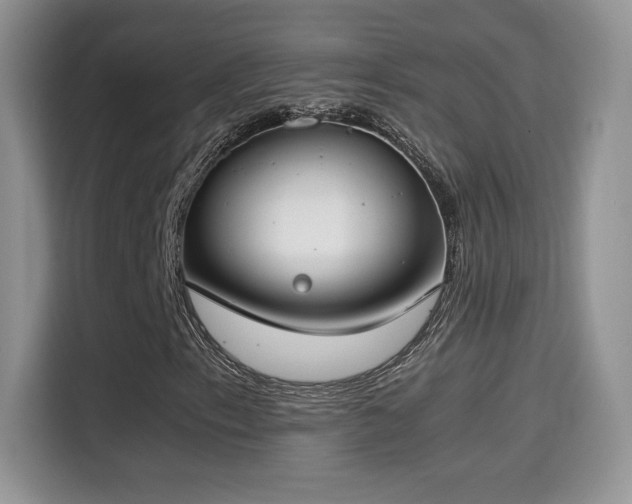 X0000115301153200911091006