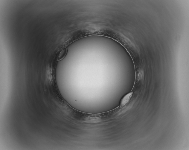 X0000115301156200911091006
