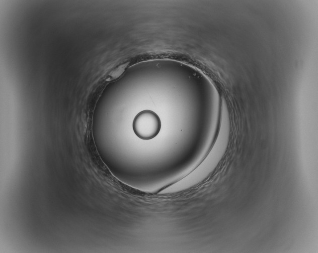 X0000115301157200911091006