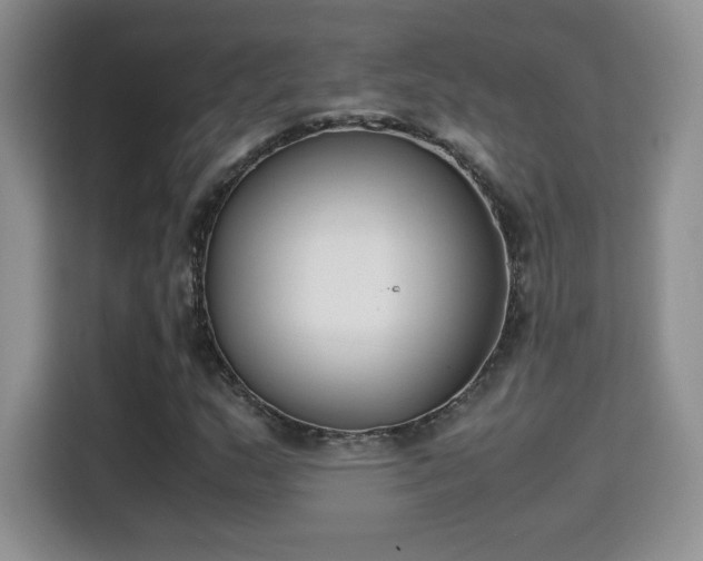 X0000115301159200911091006