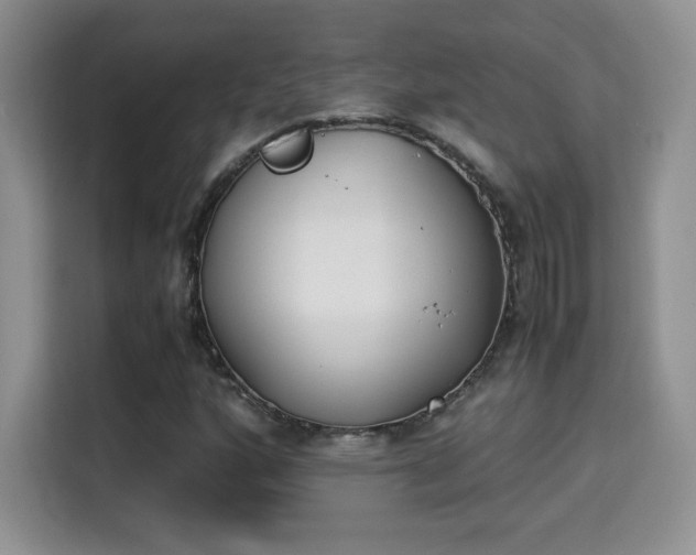X0000115301160200911091006