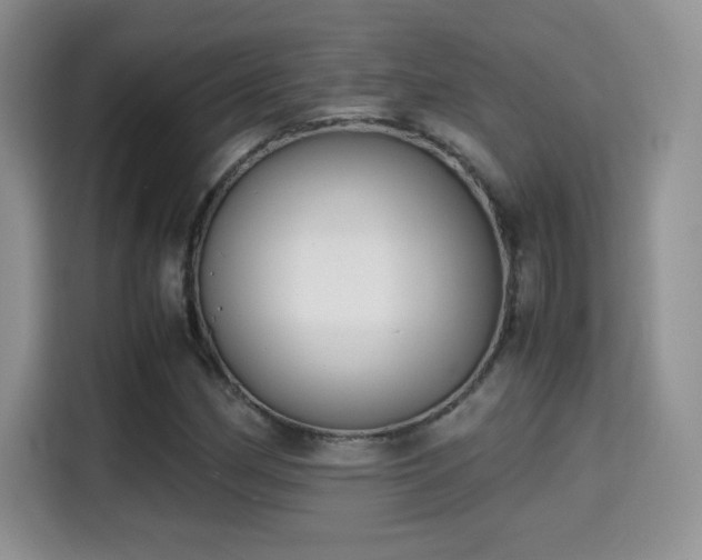 X0000115301162200911091006