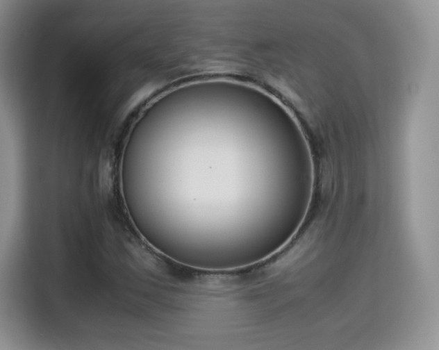 X0000115301163200911091006