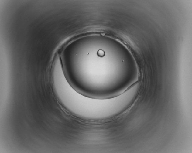 X0000115301164200911091006