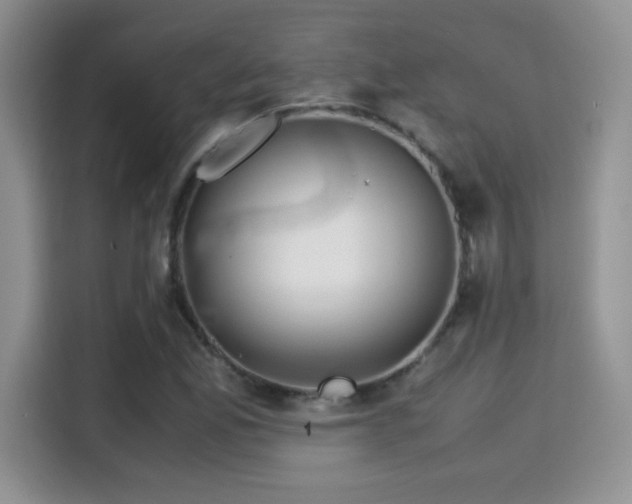 X0000115301165200911091006
