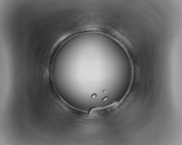 X0000115301166200911091006