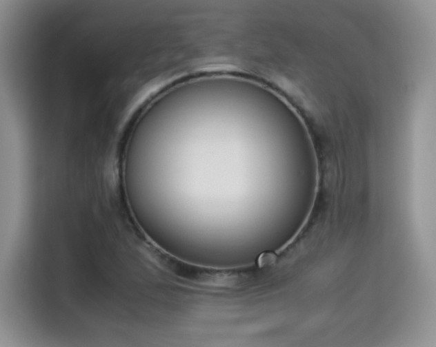 X0000115301167200911091006
