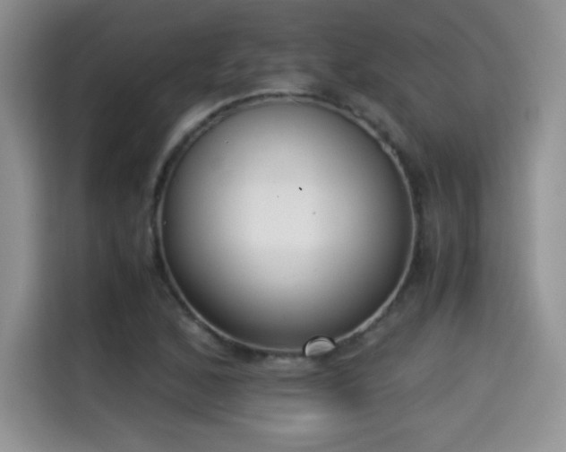 X0000115301168200911091006