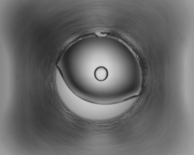 X0000115301169200911091006