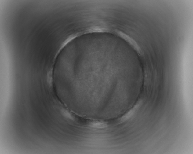 X0000115301170200911091006