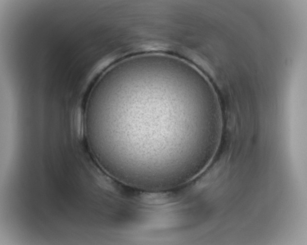 X0000115301171200911091006