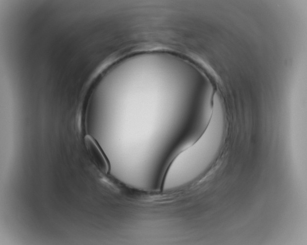 X0000115301173200911091006