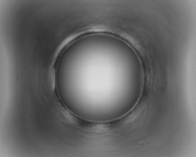 X0000115301175200911091006