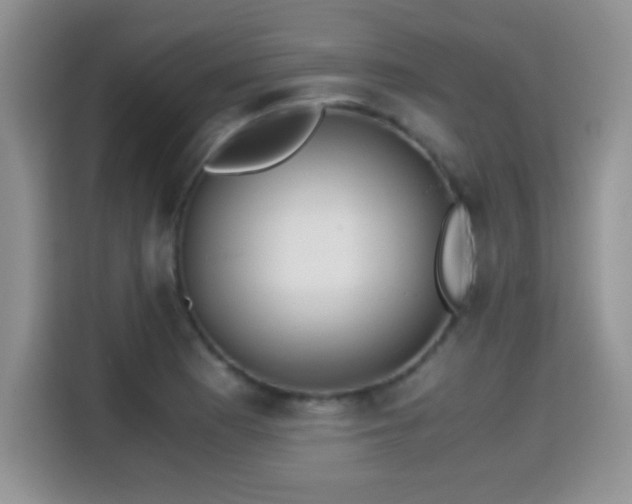 X0000115301177200911091006