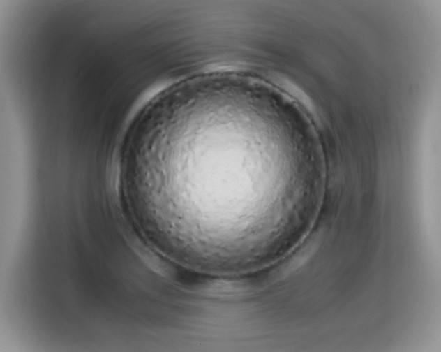 X0000115301179200911091006