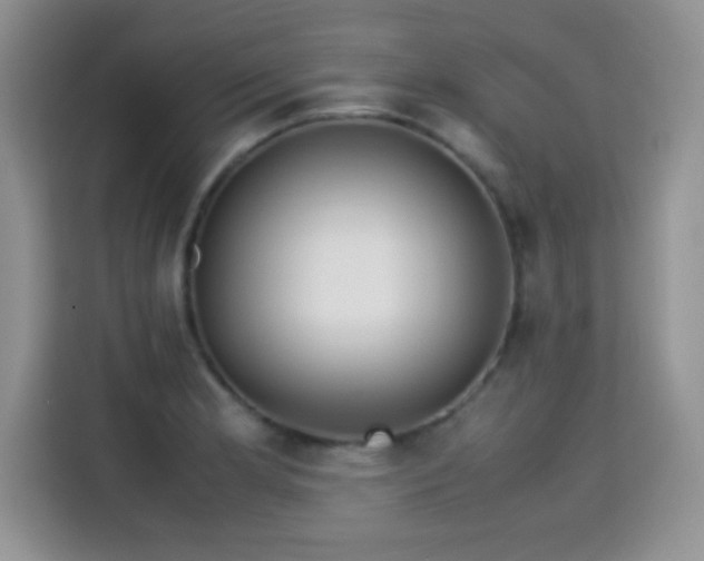 X0000115301181200911091006