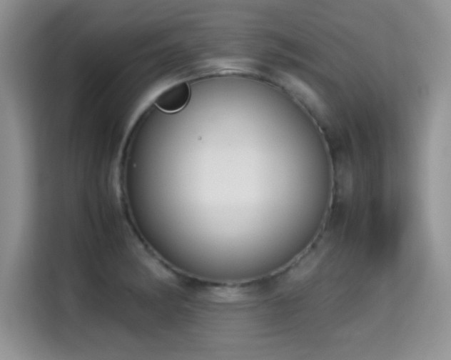 X0000115301182200911091006