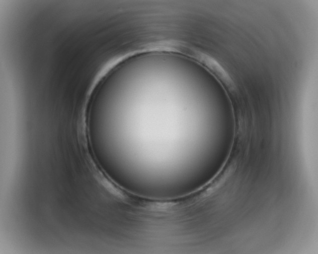 X0000115301184200911091006