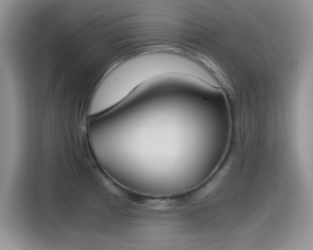 X0000115301185200911091006