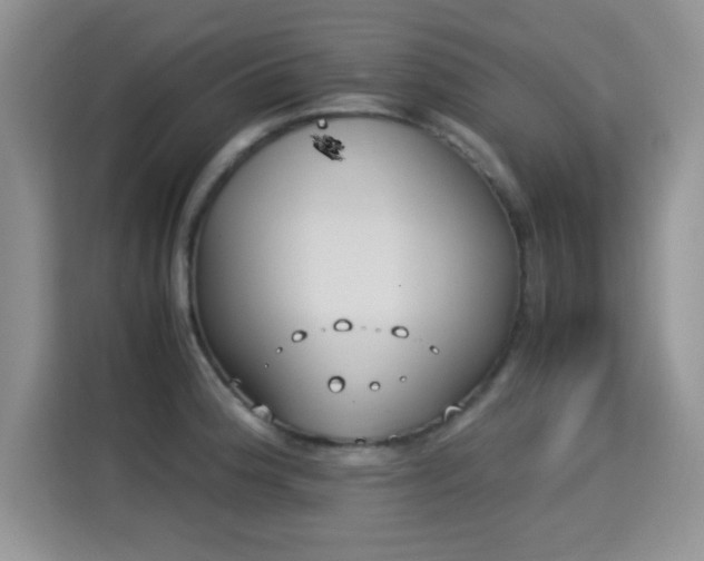 X0000115301188200911091006