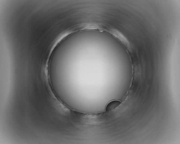 X0000115301190200911091006