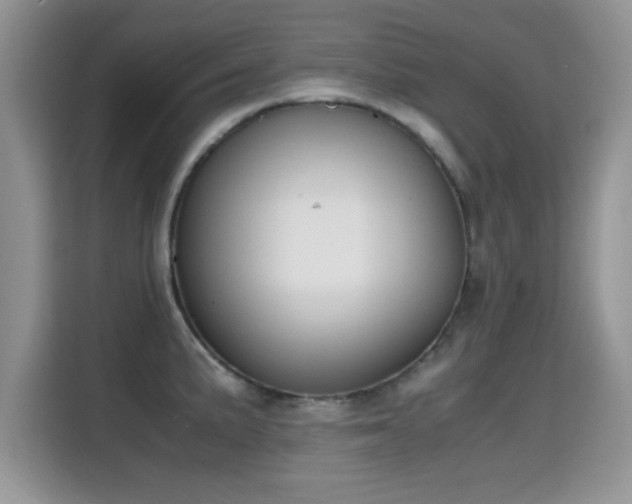 X0000115301191200911091006