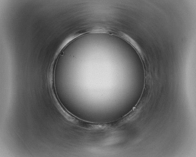 X0000115301195200911091006