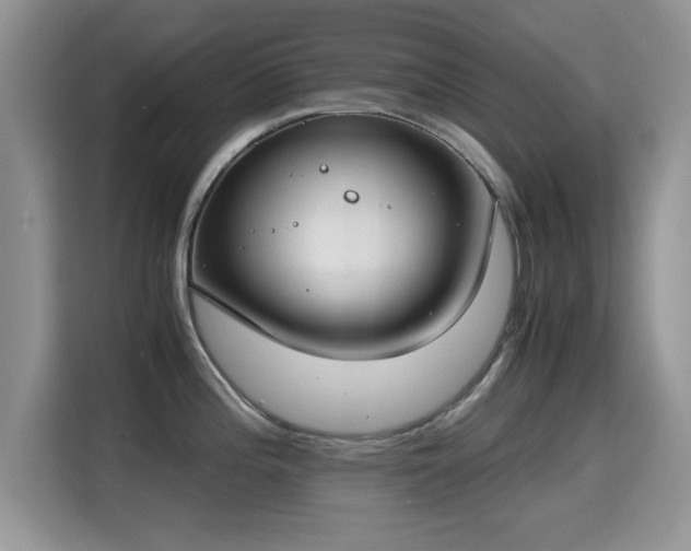 X0000115301196200911091006