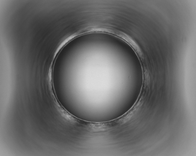 X0000115301198200911091006