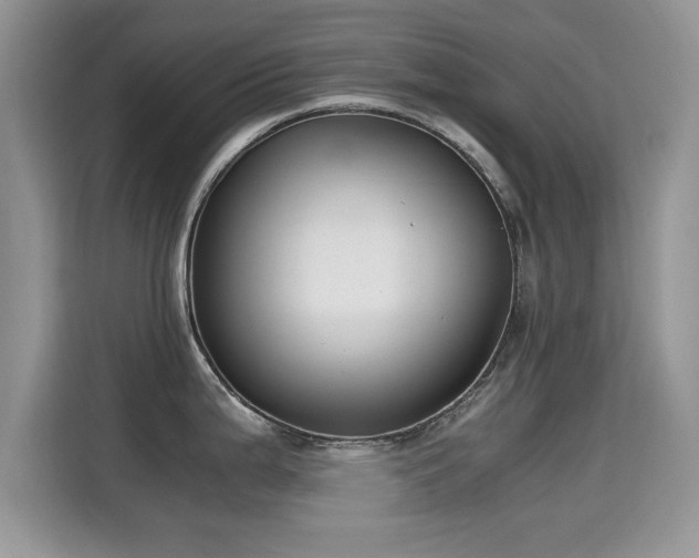 X0000115301199200911091006