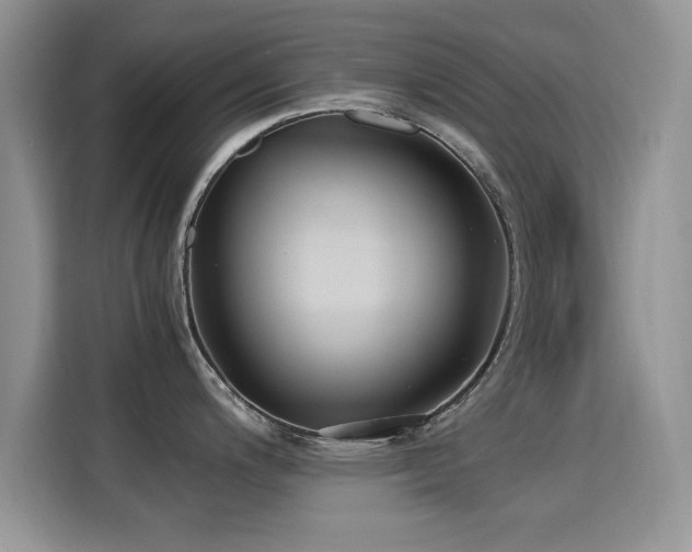 X0000115301200200911091006