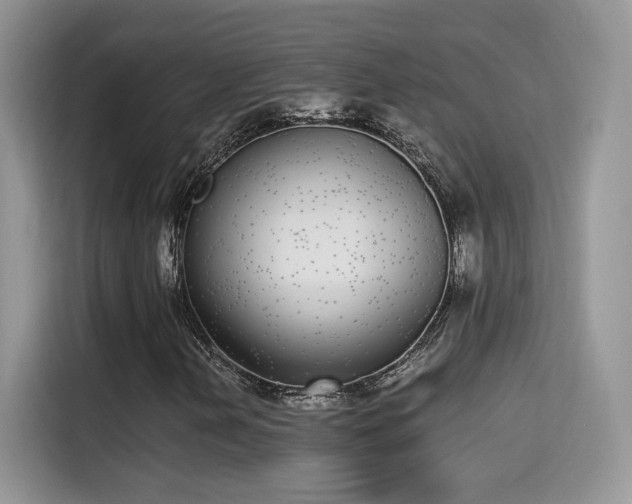 X0000115301202200911091005