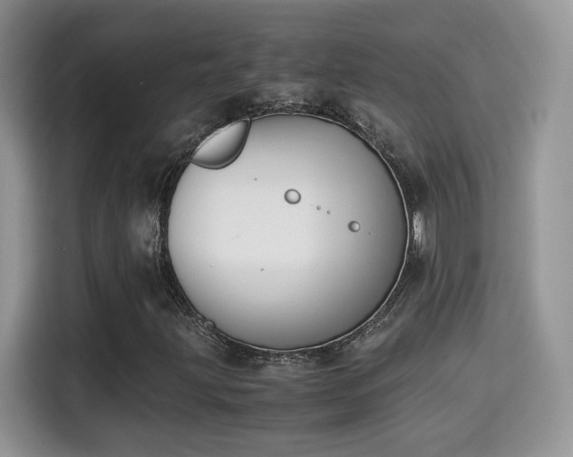 X0000115301203200911091005