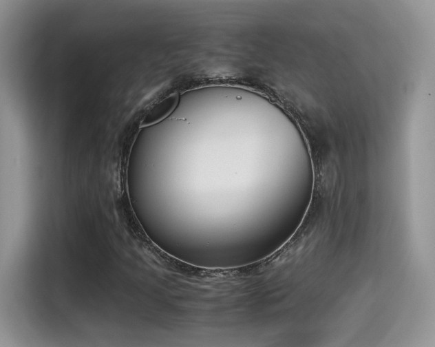 X0000115301205200911091005