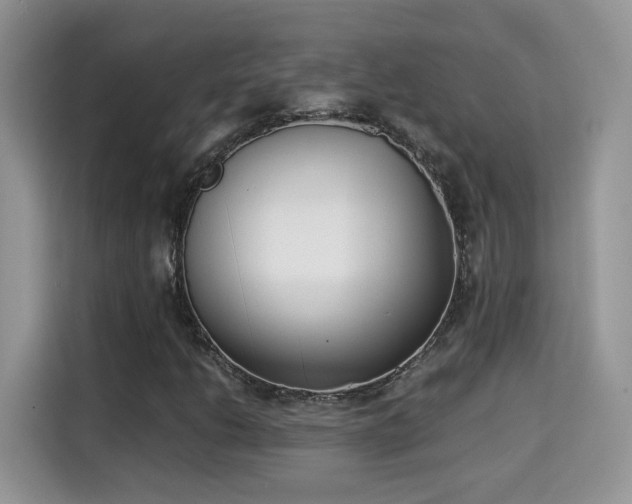X0000115301206200911091005