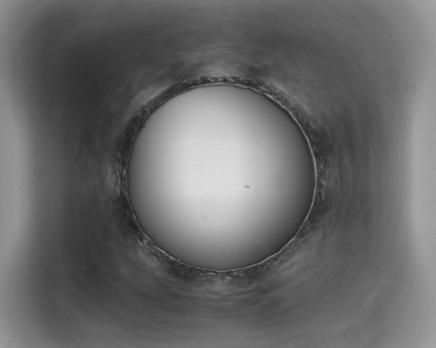 X0000115301207200911091005