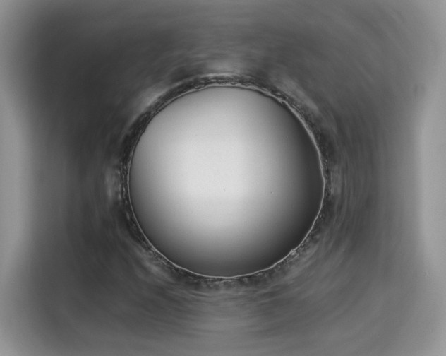 X0000115301208200911091005