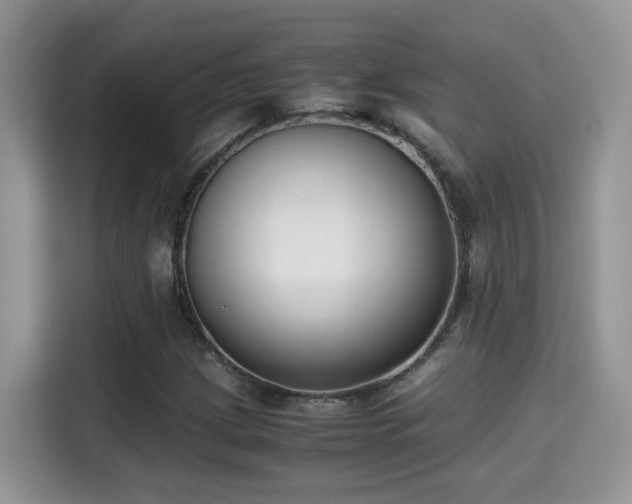 X0000115301209200911091005