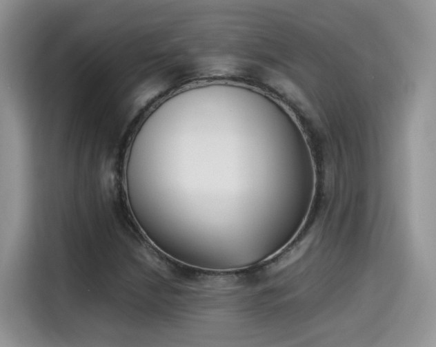X0000115301210200911091005