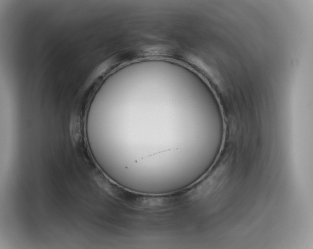 X0000115301211200911091005