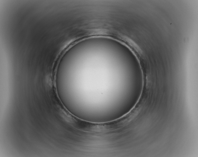 X0000115301212200911091005